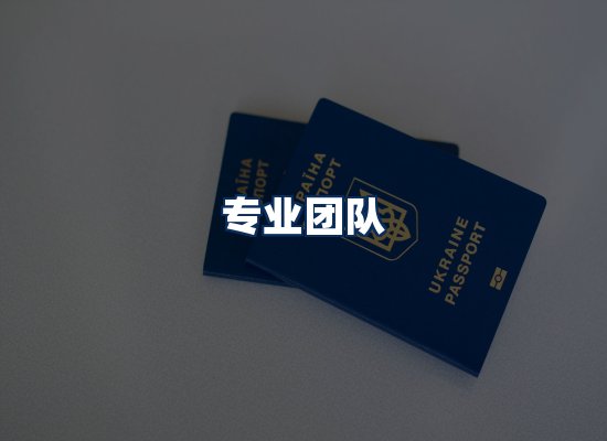 专业团队